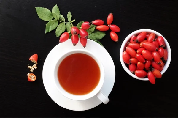 植物を売る前に知っておくべき5つのルールと許可証の取得方法