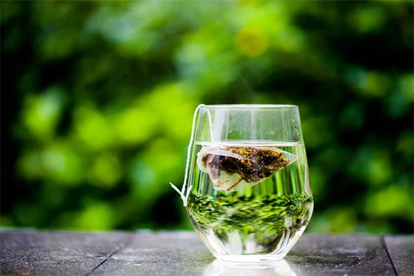 一年中美しい植物を育てる私が実践してきた冬の庭の秘訣