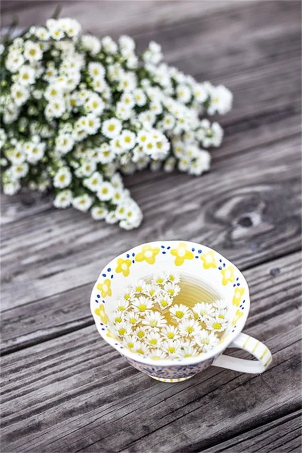 自播花おすすめ8選！手間いらずで増える花の管理と注意点